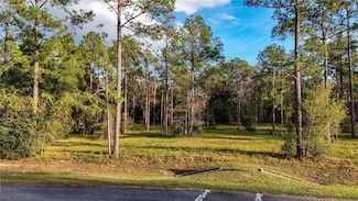 24325 Deep Springs Loop, Eustis, FL 32736
