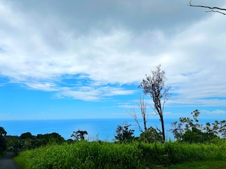 87-530 Ohia Aina Place, Captain Cook, HI 96704