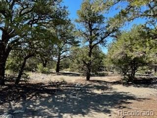 15 Mill Run Rd Unit 2 & 3, Mosca, CO 81146