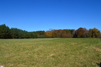 2350 Fairview Farms Rd Unit Tract A, Campobello, SC 29322