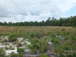 000 Oak Ridge Church Rd, Kershaw, SC 29067