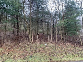 Lot 5 Ringertown Rd, Murrysville, PA 15632