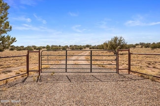8804 Johnson Hill Trail, Snowflake, AZ 85937