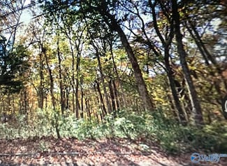 LOT 2 Juniper Dr, Huntsville, AL 35810