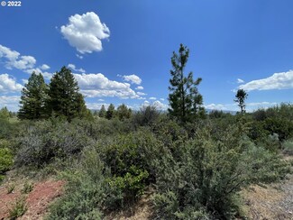 0 David St Unit 1 22273486, Chiloquin, OR 97624
