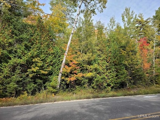 TBD County Road 441, Manistique, MI 49854