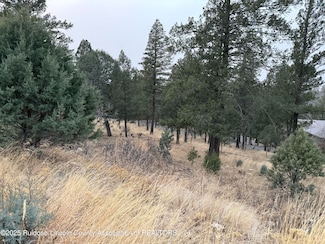 232 Cummings Dr, Ruidoso, NM 88345