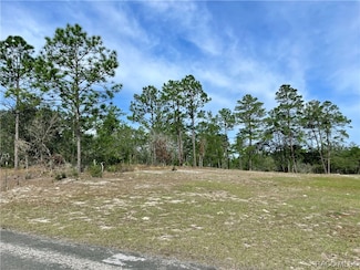 3921 W Fireside Ln, Citrus Springs, FL 34433