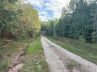 0 Lawson Mill Rd Unit 25075152, Rockford, AL 35136