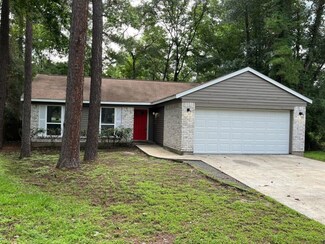 36 Dellforest Ct, Spring, TX 77381