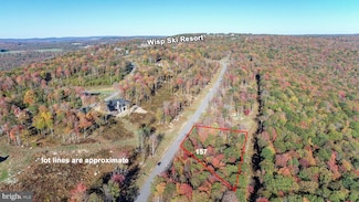 157 Fork Run Trail, Mc Henry, MD 21541