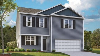 9515 River Cane Rd, Mascot, TN 37806