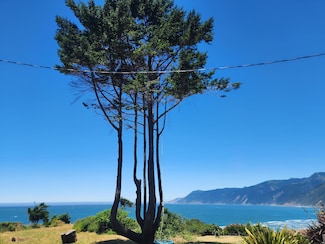 71 & 75 Whale Point, Shelter Cove, CA 95589