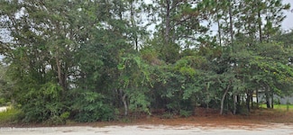 0 Canada Goose Rd Unit 2256096, Weeki Wachee, FL 34614