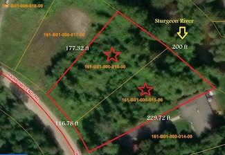 4245/4237 Rainbow End Trail, Indian River, MI 49749