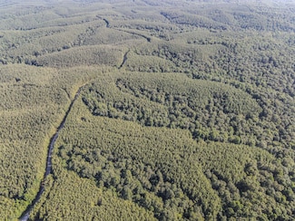 0 Brush Creek Rd Unit RTC3042922, Hohenwald, TN 38462