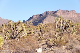 17096 N Manor Dr Unit 451, Dolan Springs, AZ 86441