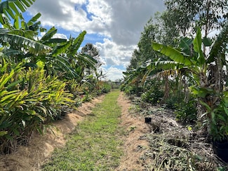 20915 Antoinette St, Loxahatchee, FL 33470