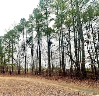 119 Boulder Dr, West End, NC 27376