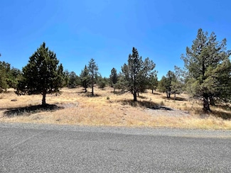Unit 5-2 Lot 48 Browndeer Rd, Lake Shastina, CA 96094