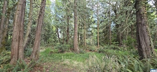 999 B Highway 101, Sequim, WA 98382