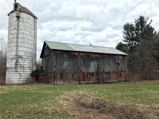 0 Summerville Rd, Hannibal, NY 13074
