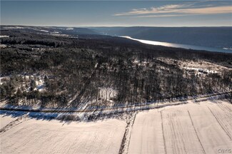 1101 Woodworth Rd, Skaneateles, NY 13152