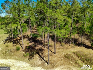 1 Americus Hwy, Rupert, GA 31081
