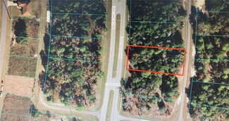 TBA SW Marion Oaks Course, Ocala, FL 34473