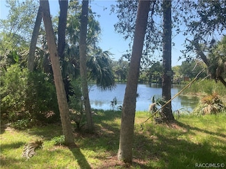 0 SW 137th St Unit 834343, Waldo, FL 34433
