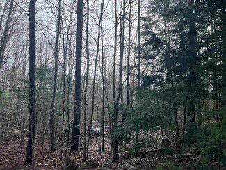 9 Moose Ridge Rd, Ossipee, NH 03864