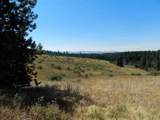 TBD Gold Hill Road (Parcel #3), Princeton, ID 83857