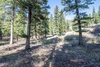 Lot 17 Caddisfly Ct, Clinton, MT 59825