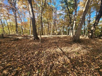 Lot 1783/84 Blueberry Dr, Roberts Township, IL 61375