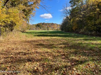 206 Mattinly Thurman, Hardinsburg, KY 40143