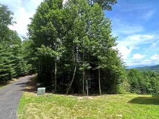 Lot 6 Carolina Fox Cir, Murphy, NC 28906