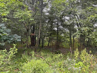 0.46 AC Busse Ln, Lake Delton, WI 53913
