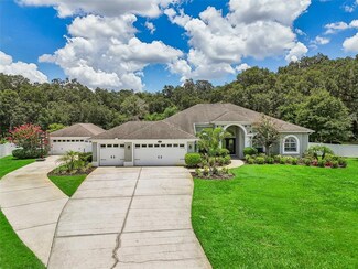 9478 Swift Creek Cir, Dover, FL 33527