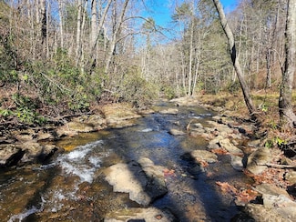 902 Sandy Level Rd, Woodlawn, VA 24381