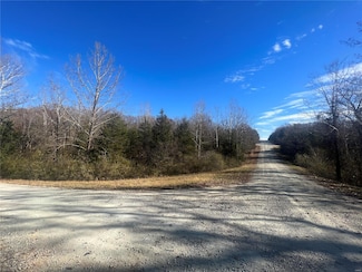 0 Rue de la Paix Unit 23067327, Bonne Terre, MO 63628
