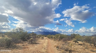 16252 W Pyle Rd Unit 106, Diamond Bell Ranch, AZ 85736