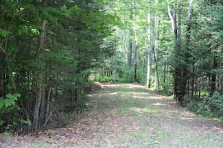 0 Hill View Ct, Indian Lake, NY 12842