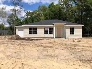 17 Guava Pass, Ocklawaha, FL 32179