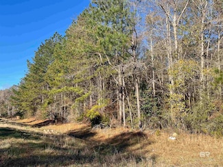 5525 Highway 29, Brewton, AL 36426