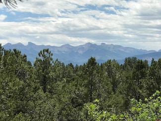 202 Woodchuck Place, Ridgway, CO 81432
