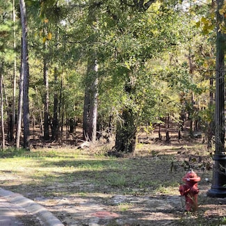 361 Cypress Flat Ct, Conway, SC 29526