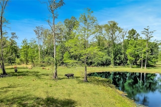 TBD Corkwood Ln, Astatula, FL 34705