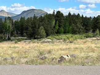173 S Skyline Dr Unit 40, South Fork, CO 81154