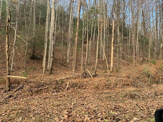 3.66 Horton Rd, Murphy, NC 28906