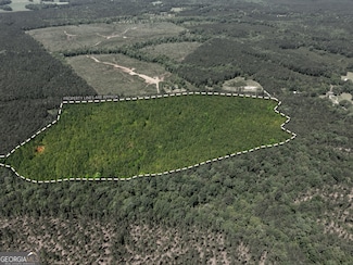 3678 Lundberg Rd, Washington, GA 30673